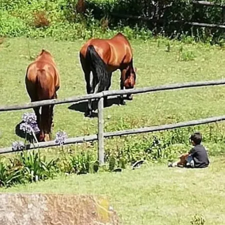 T1 Na Casa Da Quinta S Jose * פראיה דה מירה