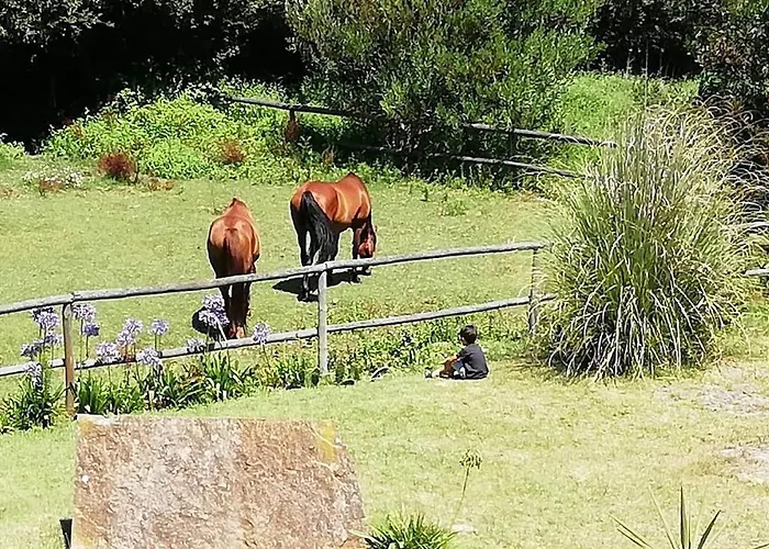 別荘 T1 Na Casa Da Quinta S Jose プライア・デ・ミラ