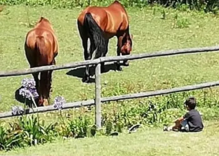 T1 Na Casa Da Quinta S Jose * プライア・デ・ミラ
